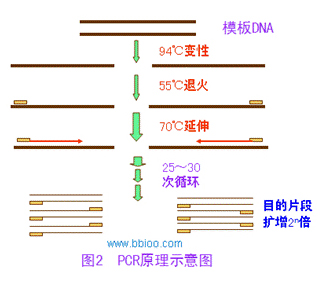 南宫ng28(中国)官方网站