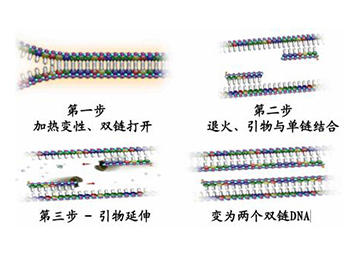 南宫ng28(中国)官方网站