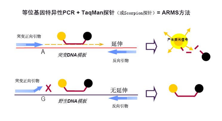 南宫ng28(中国)官方网站